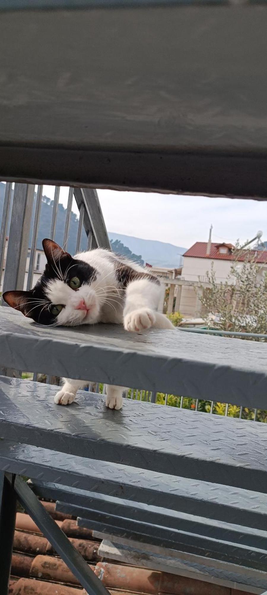 Guesthouse Eva Suite Berat Exterior foto